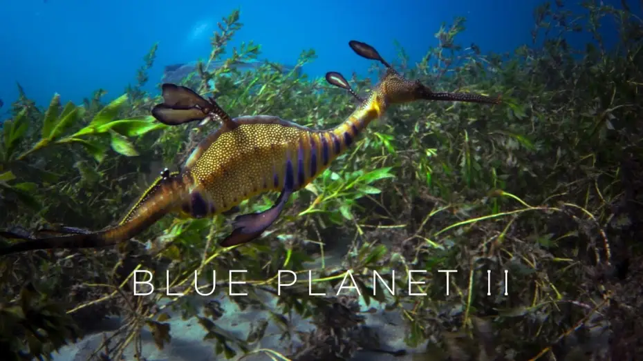 Відео до серіалу Блакитна планета 2 — Blue Planet II: Official Trailer