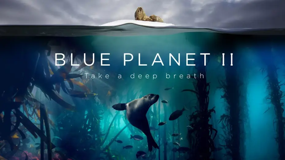 Відео до серіалу Блакитна планета 2 — Blue Planet II : The Prequel