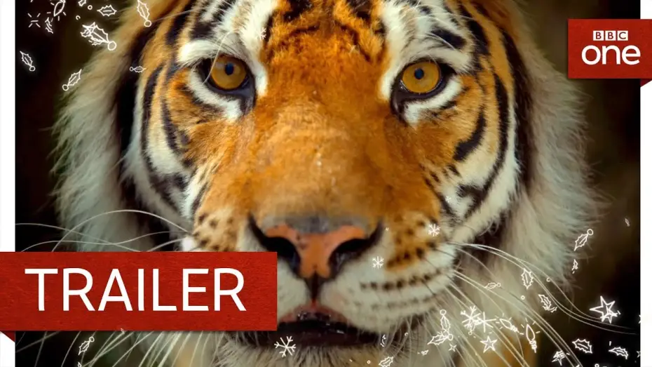 Відео до серіалу Великі кішки — Big Cats: Trailer - BBC One