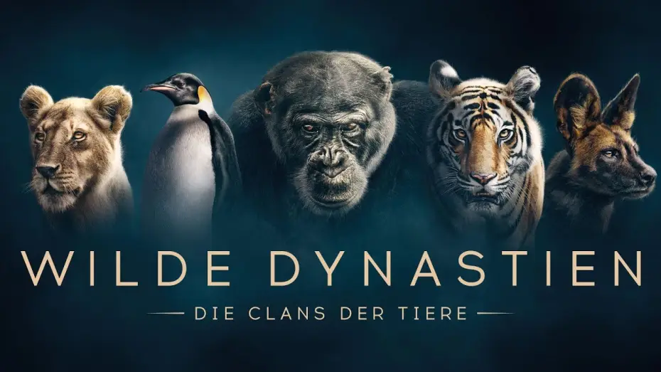 Видео к сериалу Династії — WILDE DYNASTIEN - Die Clans der Tiere - Trailer [HD] Deutsch / German