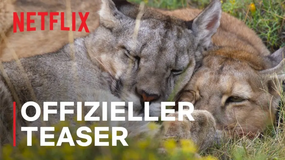 Відео до серіалу Наша планета — Offizieller Teaser