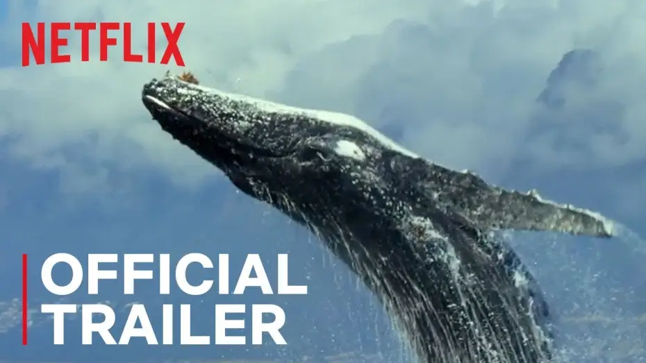 Відео до серіалу Наша планета — Our Planet | Official Trailer [HD] | Netflix