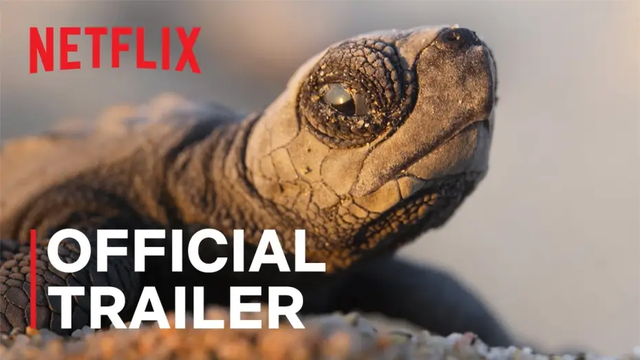 Відео до серіалу Наша планета — Наша планета II — Our Planet II Official Trailer