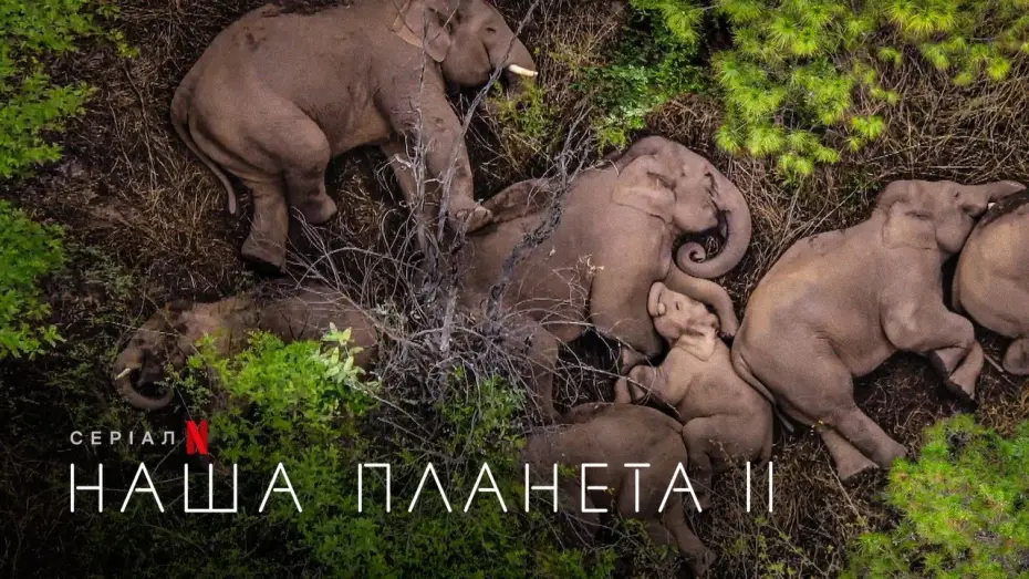 Відео до серіалу Наша планета — Наша планета II | Офіційний український трейлер | Netflix