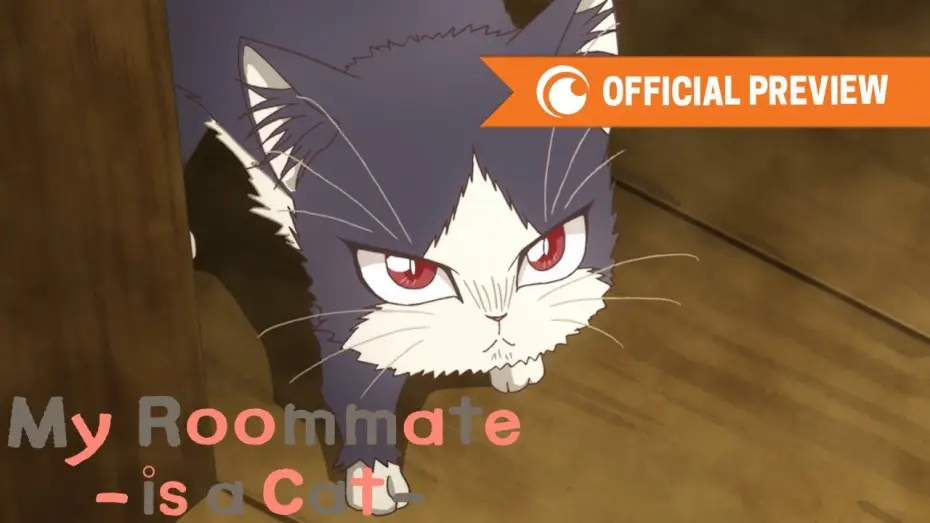 Відео до серіалу Мій сусід — кіт: то на колінах, то на голові — My Roommate is a Cat | OFFICIAL PREVIEW