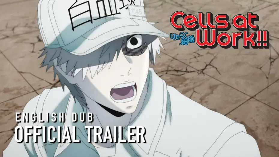 Відео до серіалу Робота клітин — Cells at Work!! English Dub Trailer