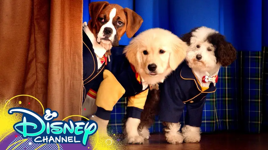 Відео до серіалу Академія цуценят — Theme Song 🎶 ft. Dakota Lotus | Pup Academy | Disney Channel
