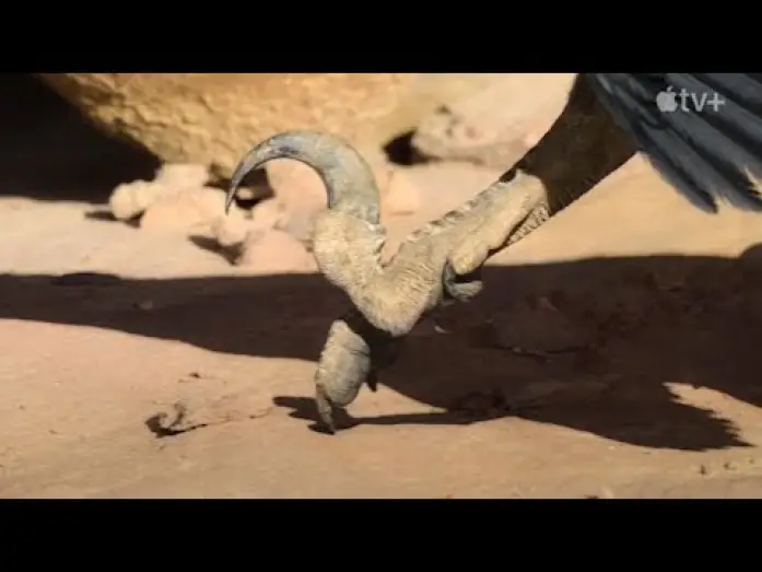 Відео до серіалу Доісторична планета — Prehistoric Planet (MAGNIFICENT) - Trailer en Español