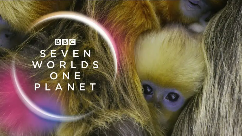 Відео до серіалу Сім світів, одна планета — Seven Worlds, One Planet: Extended Trailer (ft Sia and Hans Zimmer) | New David Attenborough Series