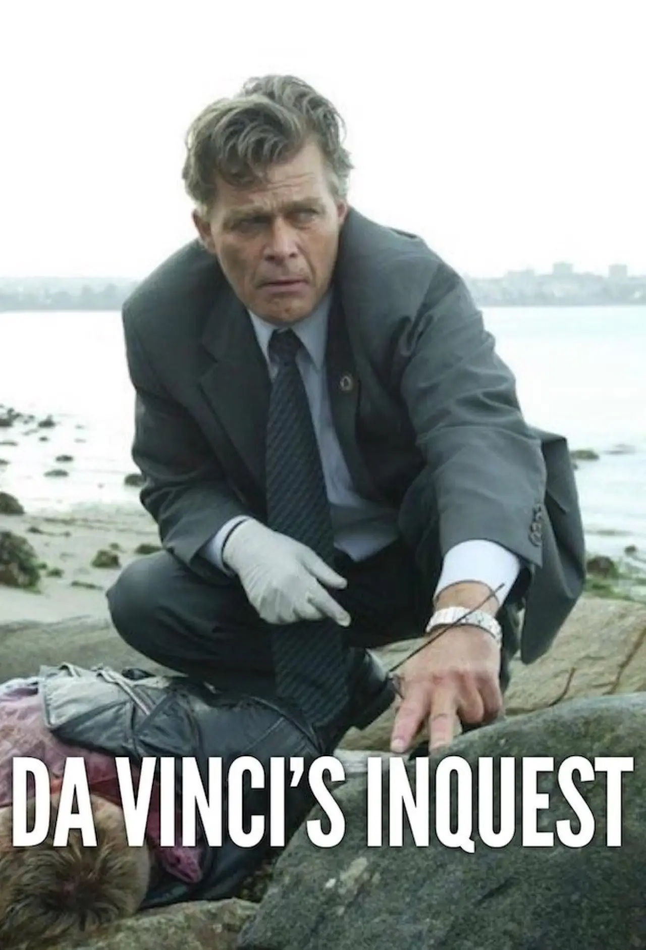 Постер до серіалу "Da Vinci