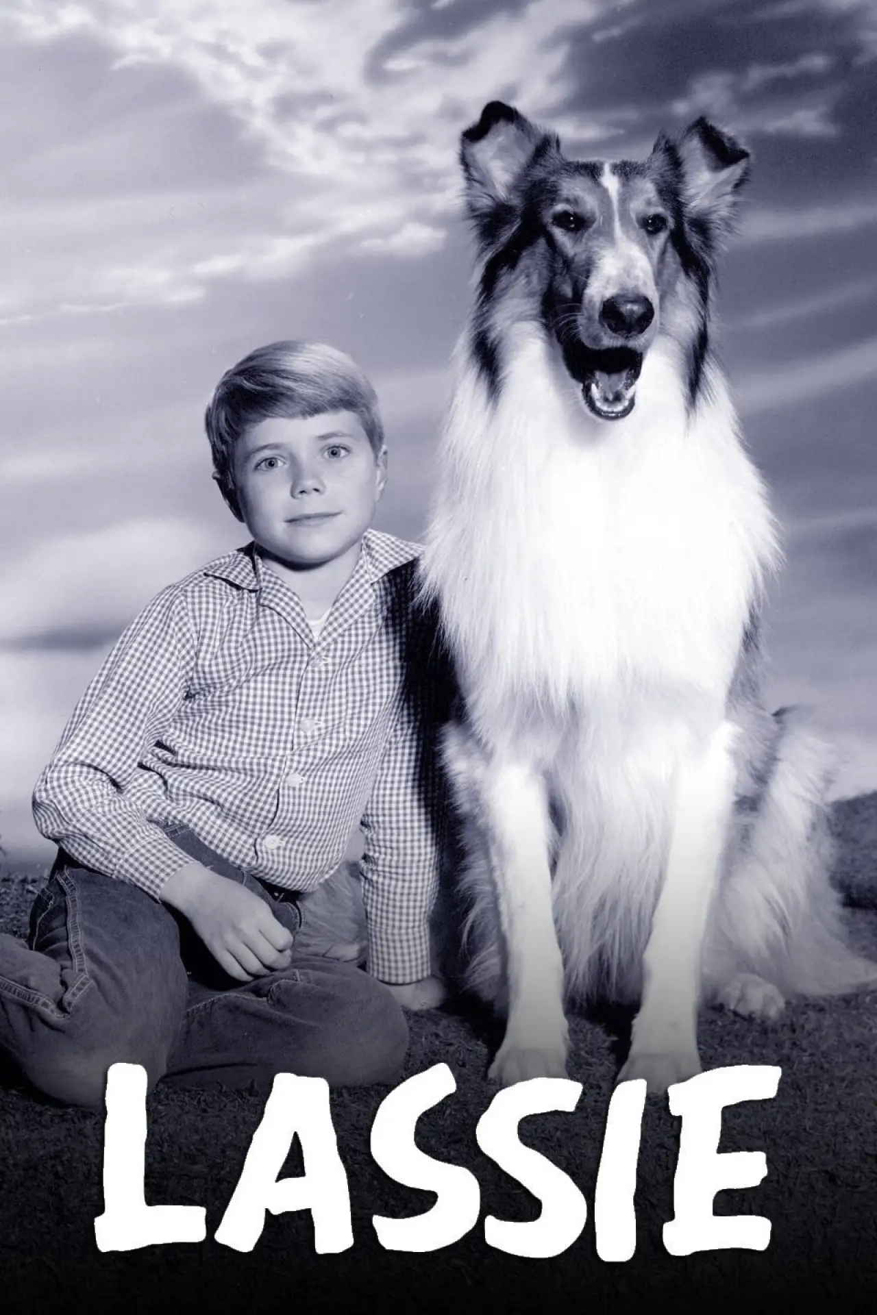 Постер к сериалу "Лессі"