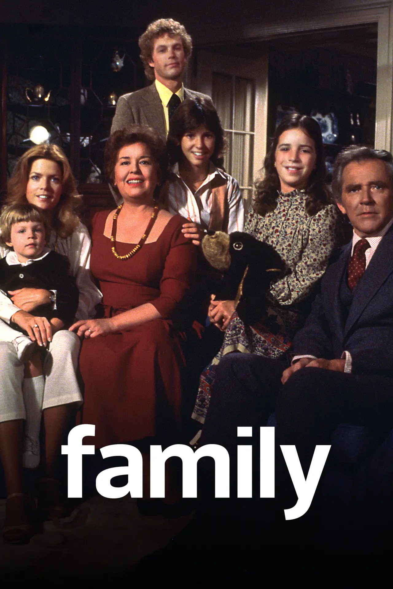 Постер до серіалу "Family"
