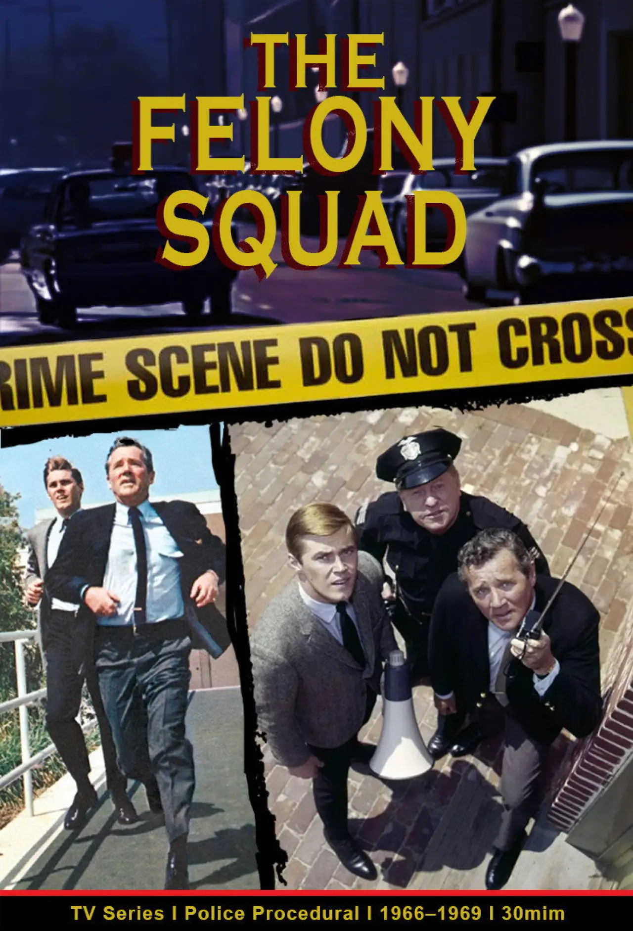 Постер до серіалу "Felony Squad"