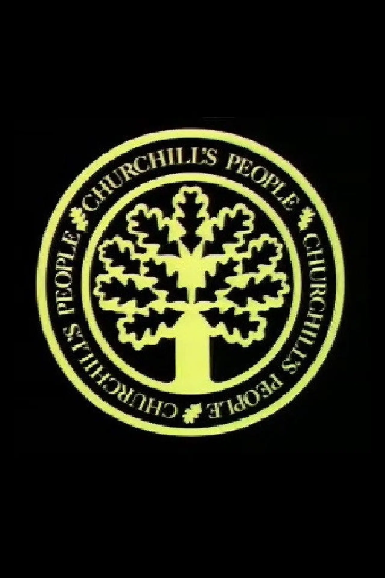 Постер до серіалу "Churchill