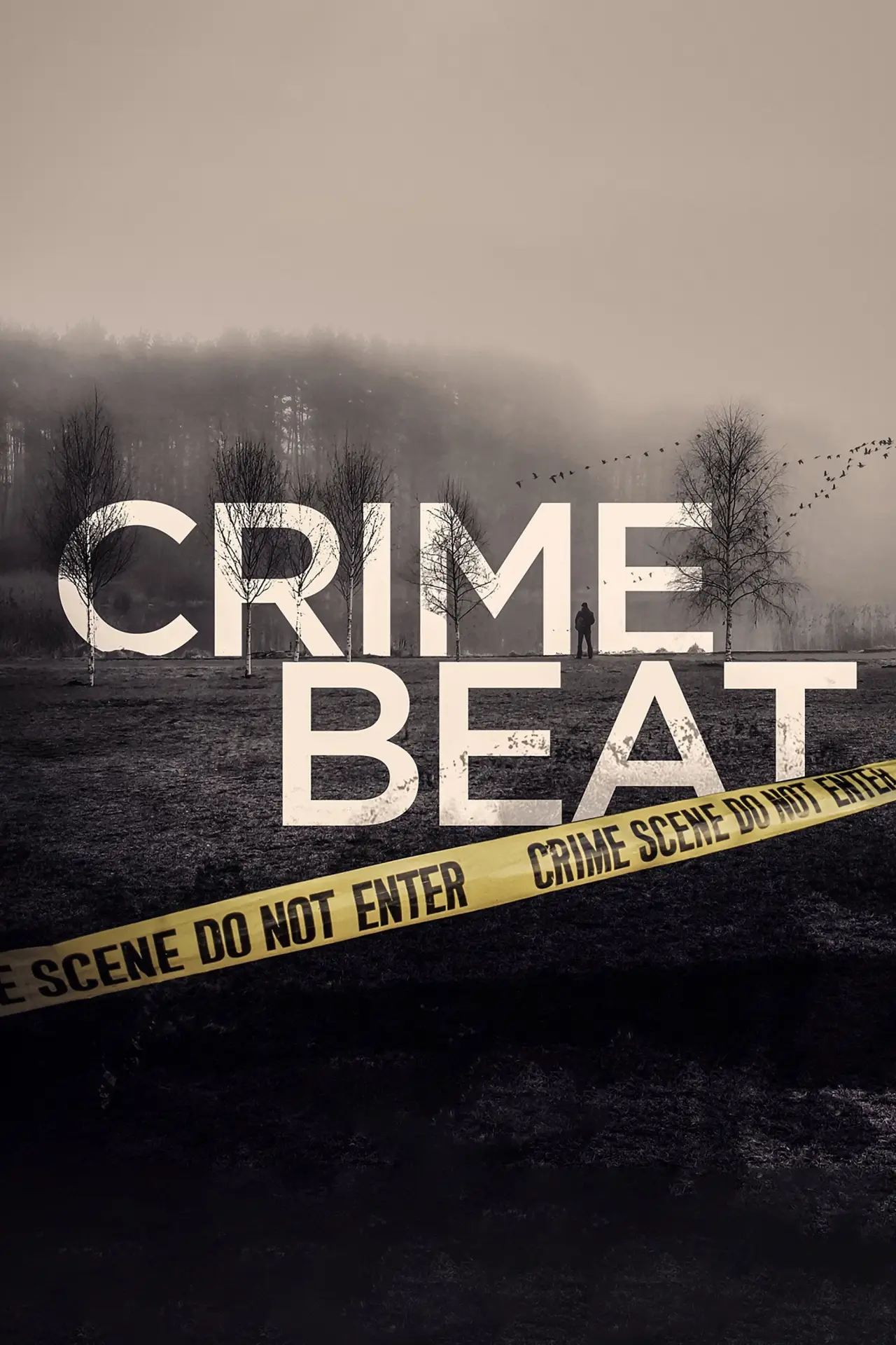 Постер до серіалу "Crime Beat"