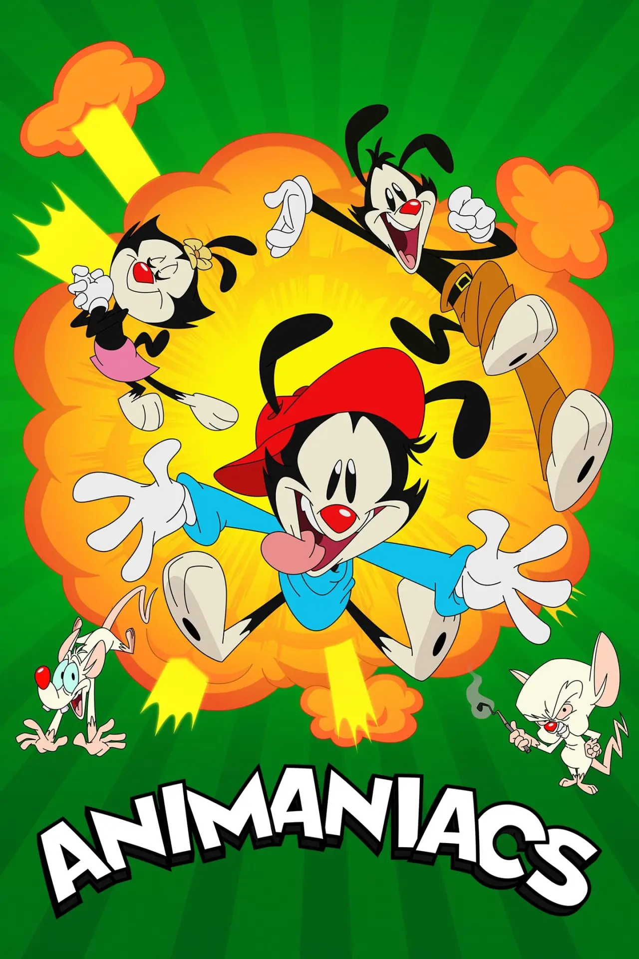 Постер до серіалу "Animaniacs"