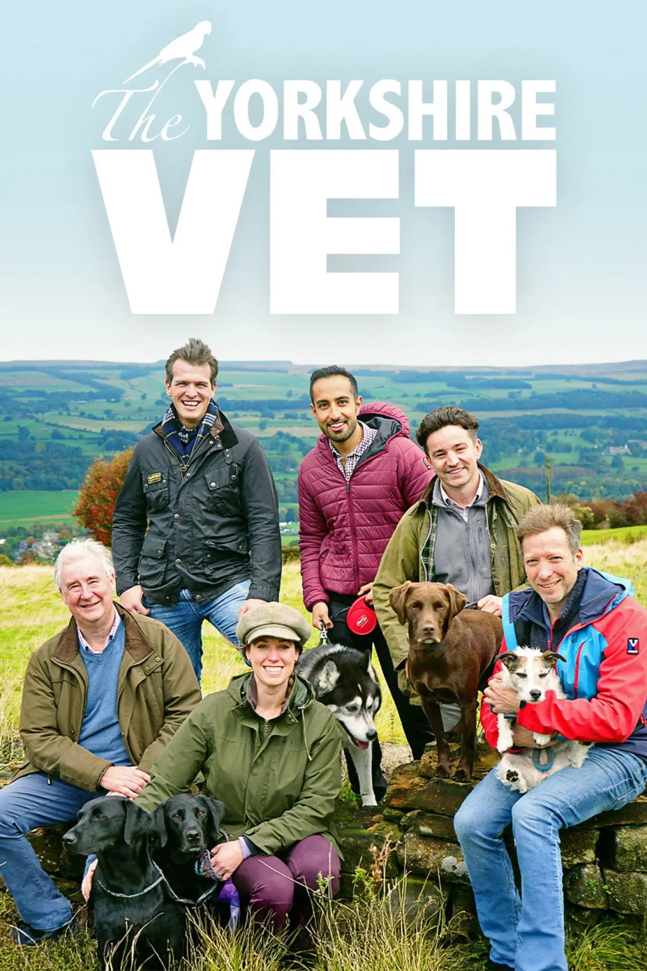 Постер к сериалу "The Yorkshire Vet"