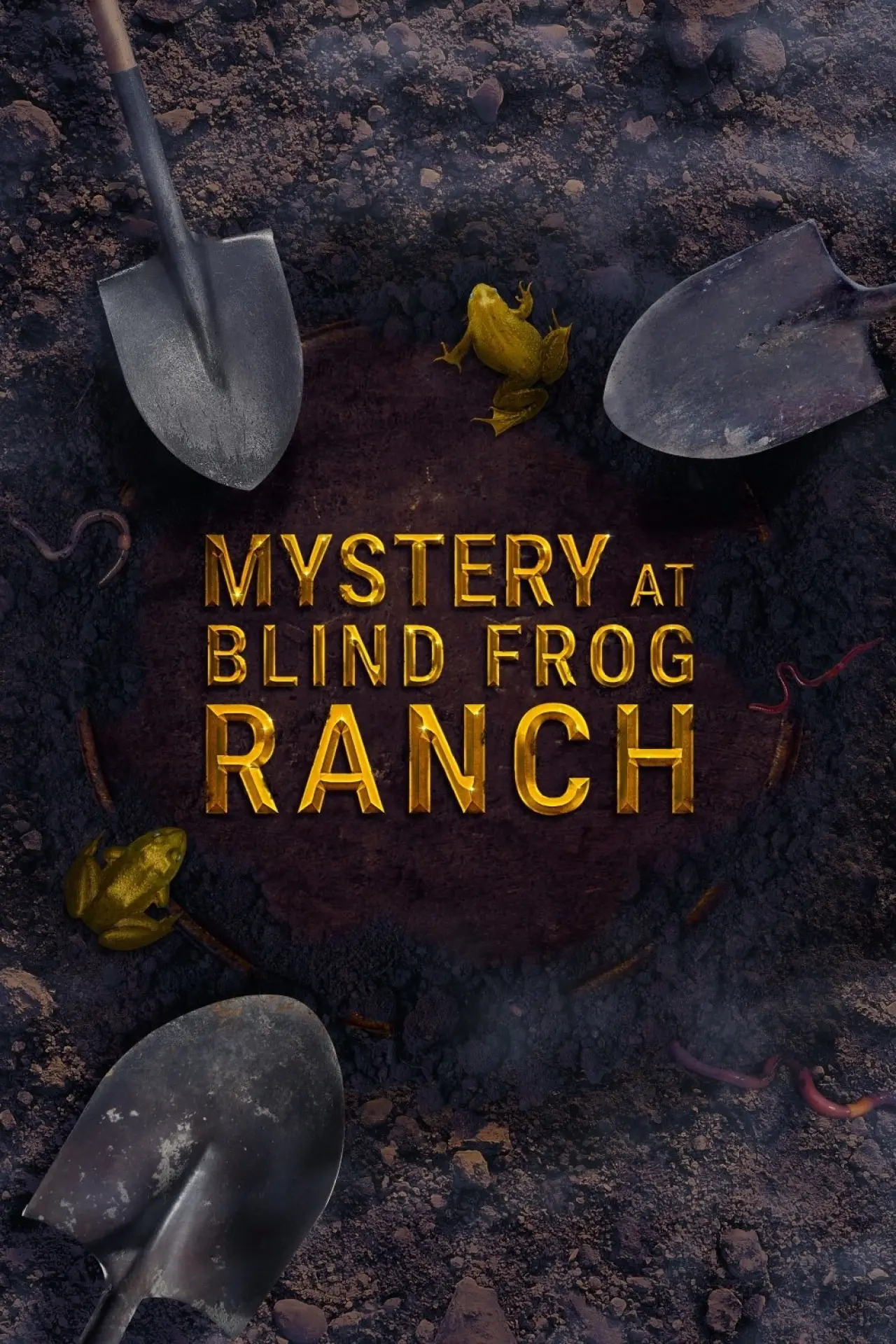 Постер до серіалу "Mystery at Blind Frog Ranch"