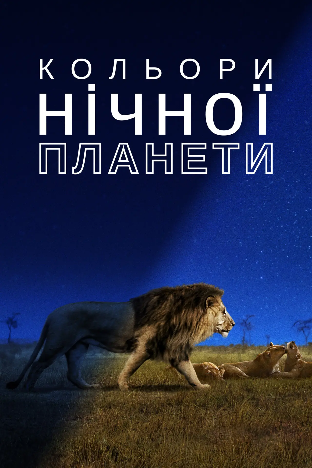 Постер до серіалу "Кольори нічної планети"