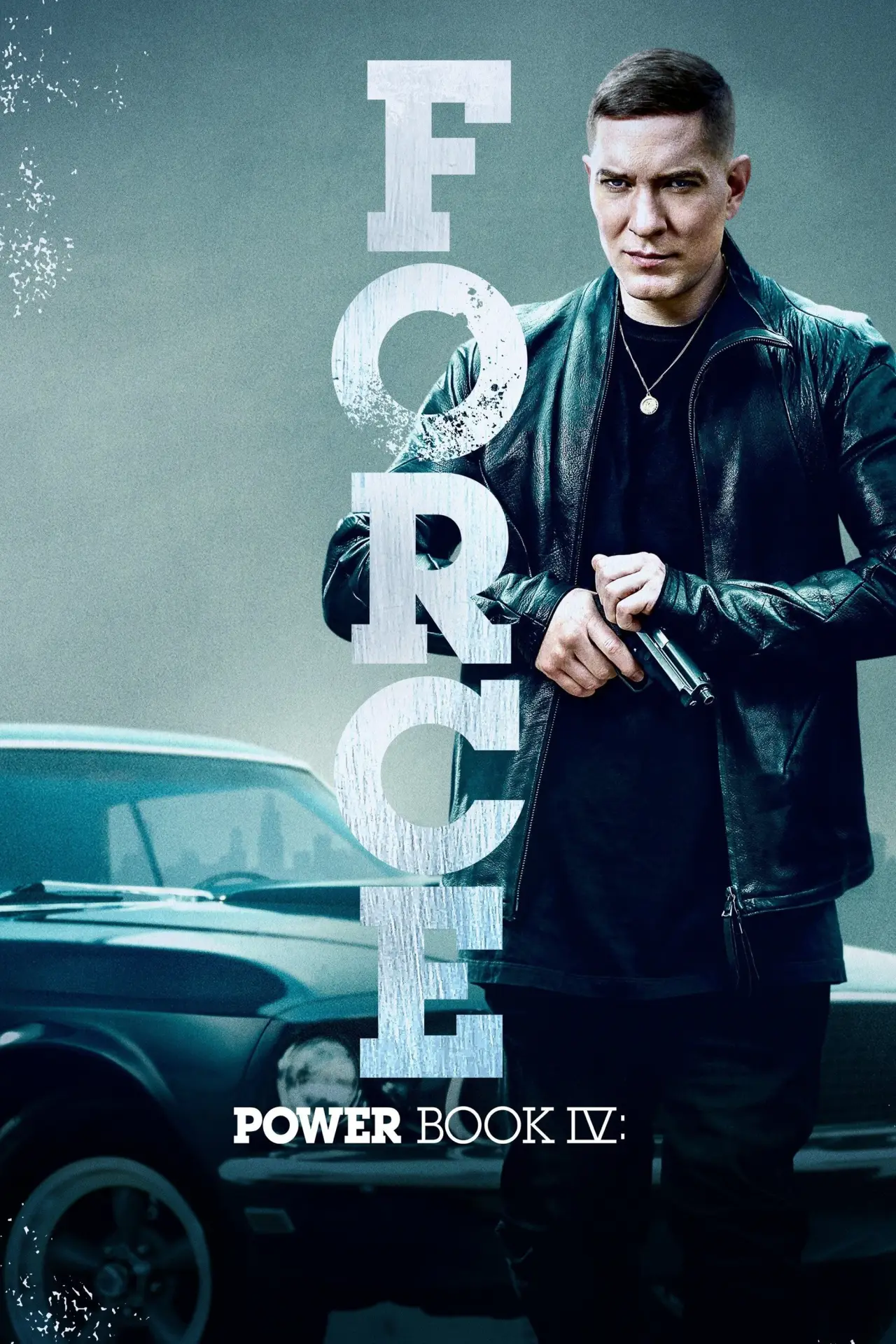 Постер до серіалу "Power Book IV: Force"