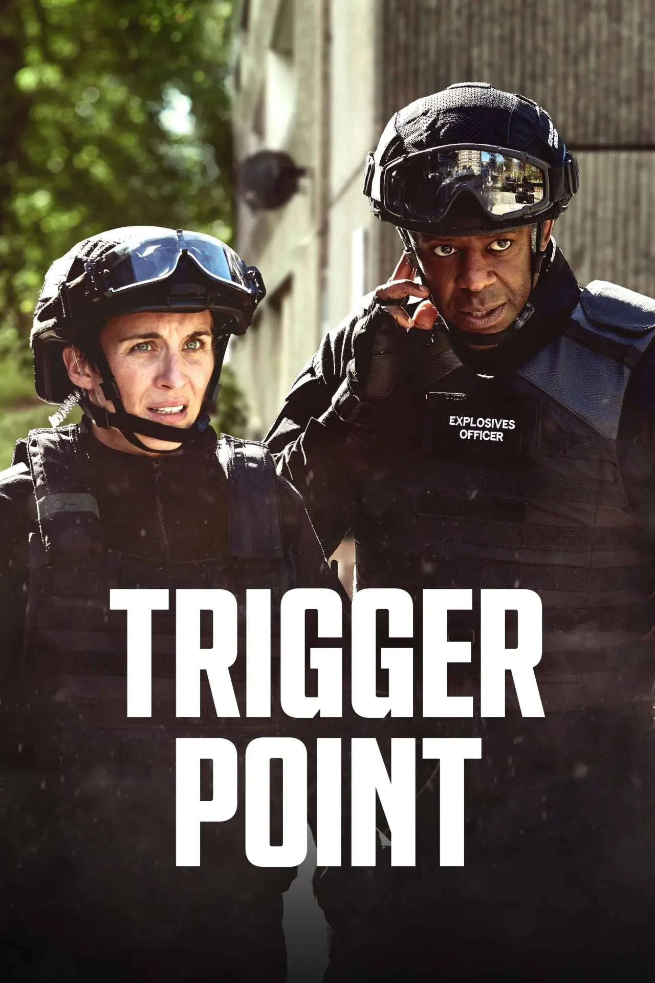 Постер до серіалу "Trigger Point"