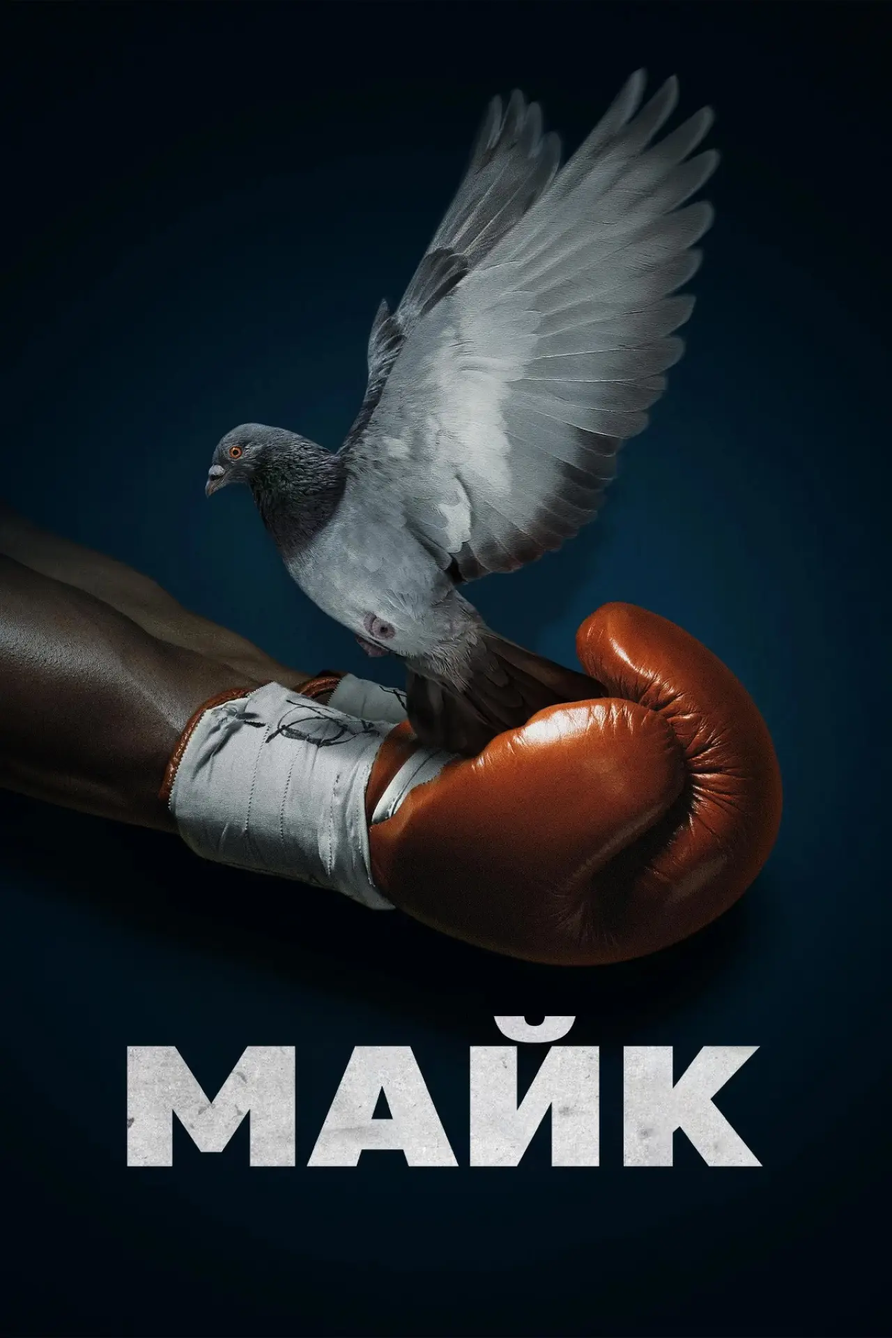 Постер до серіалу "Майк"
