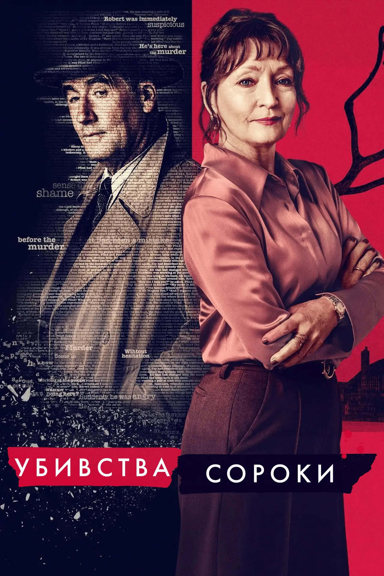 Постер до серіалу "Убивства Сороки"
