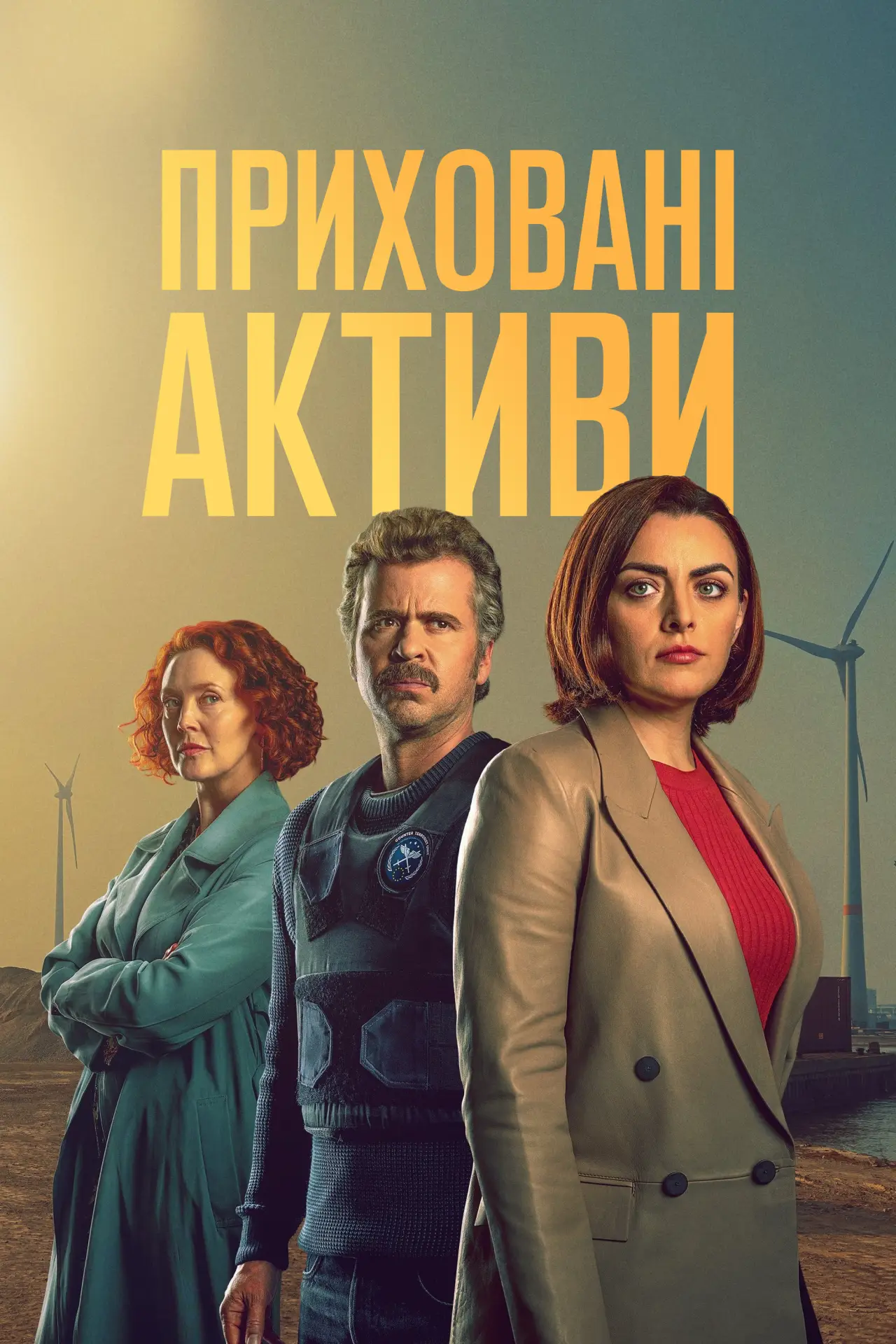Постер до серіалу "Приховані активи"