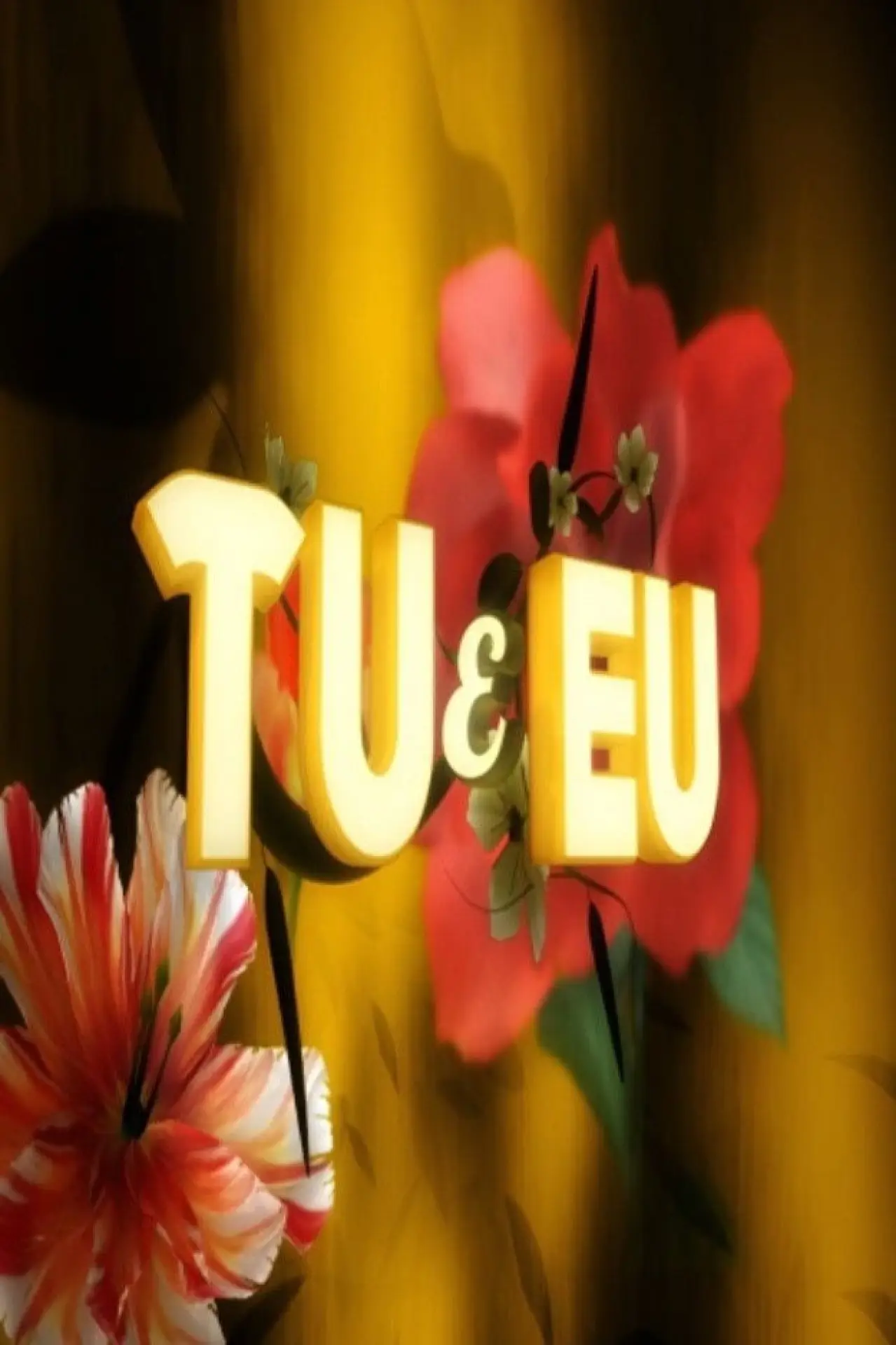 Постер до серіалу "Tu e Eu"