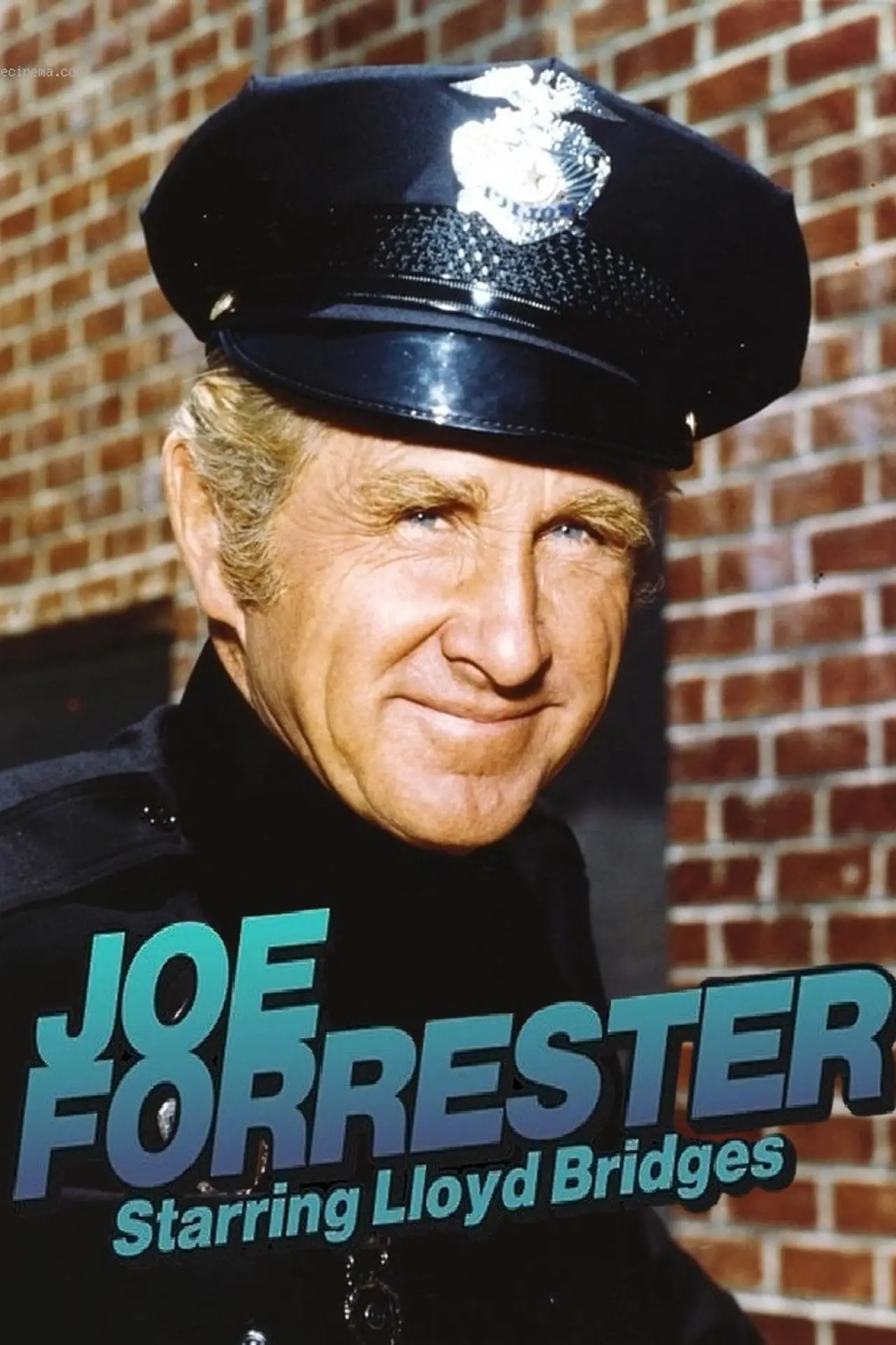 Постер до серіалу "Joe Forrester"
