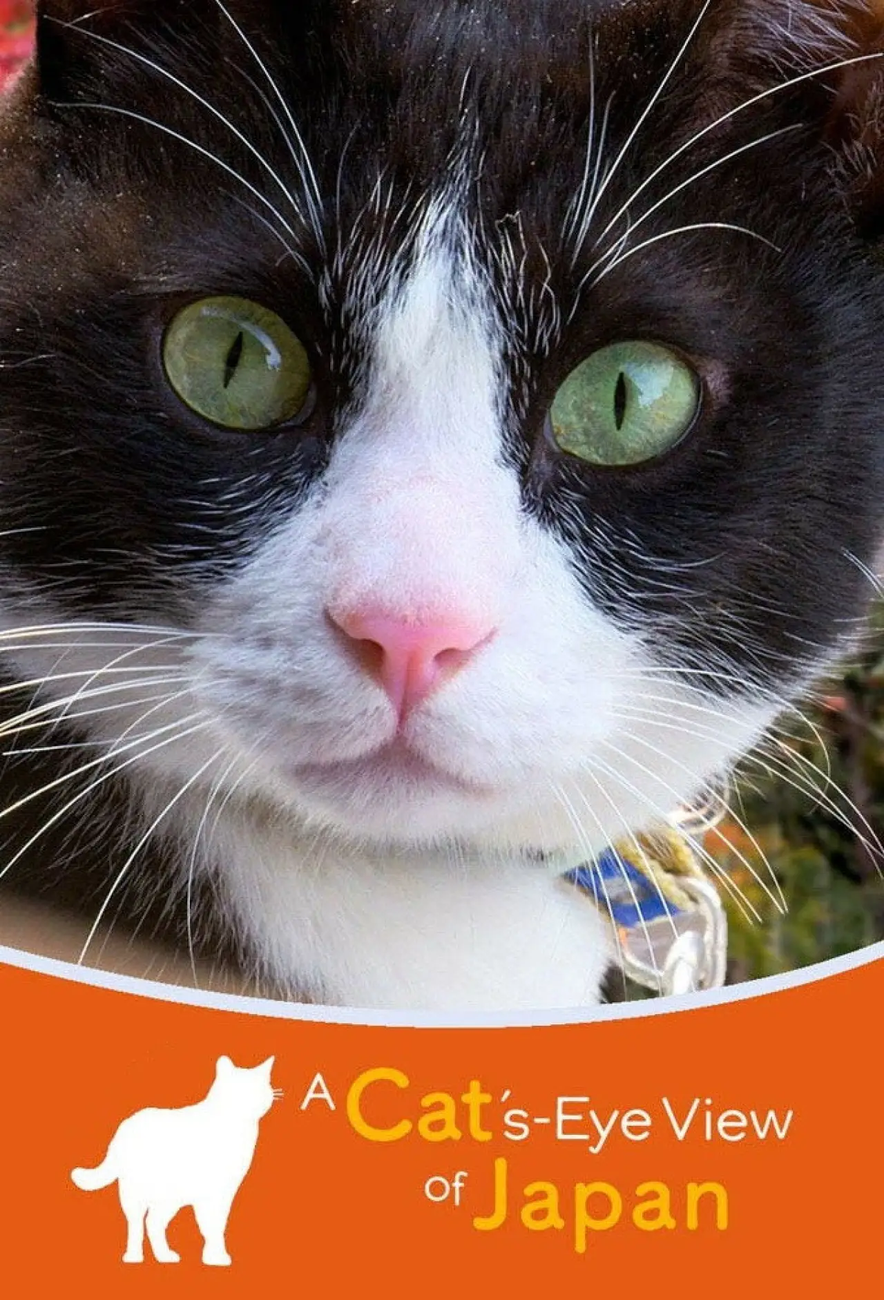 Постер до серіалу "A Cat