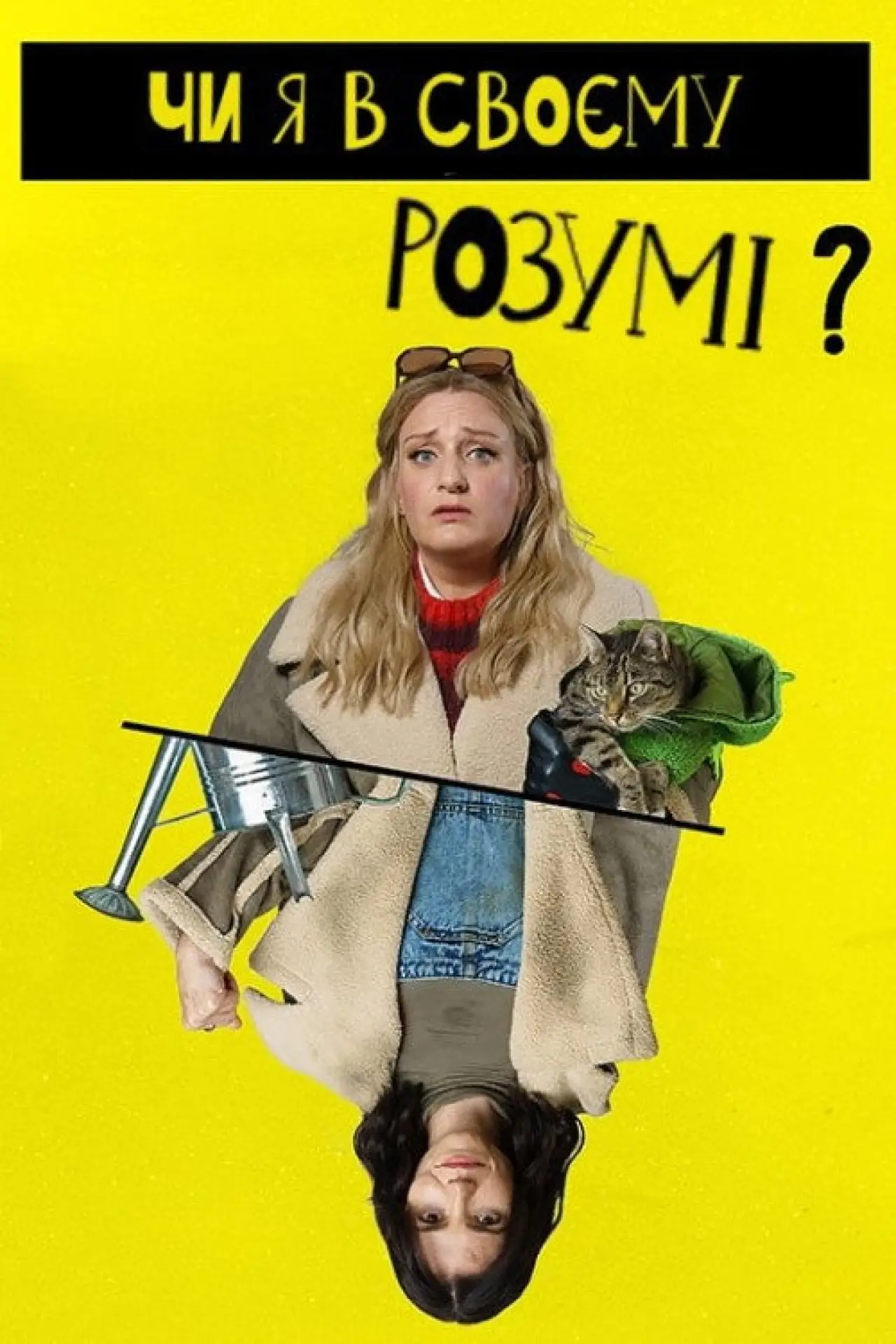 Постер до серіалу "Чи я в своєму розумі?"