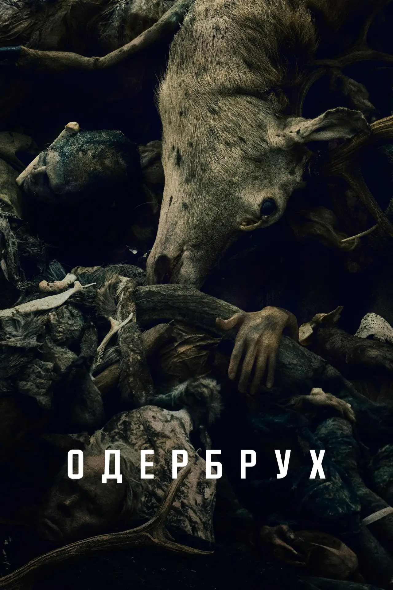Постер до серіалу "Одербрух"