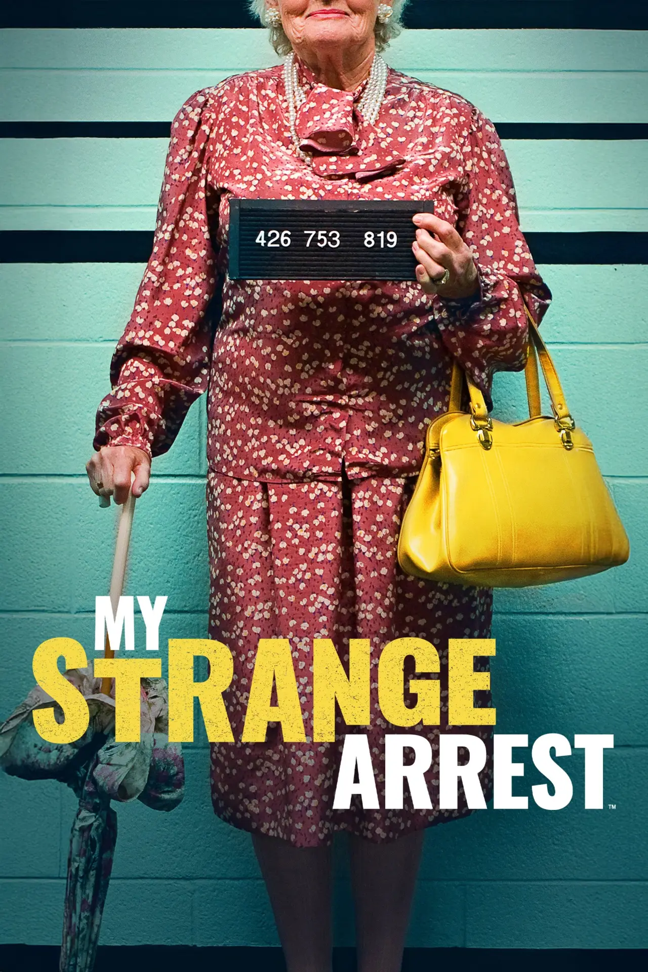 Постер до серіалу "My Strange Arrest"