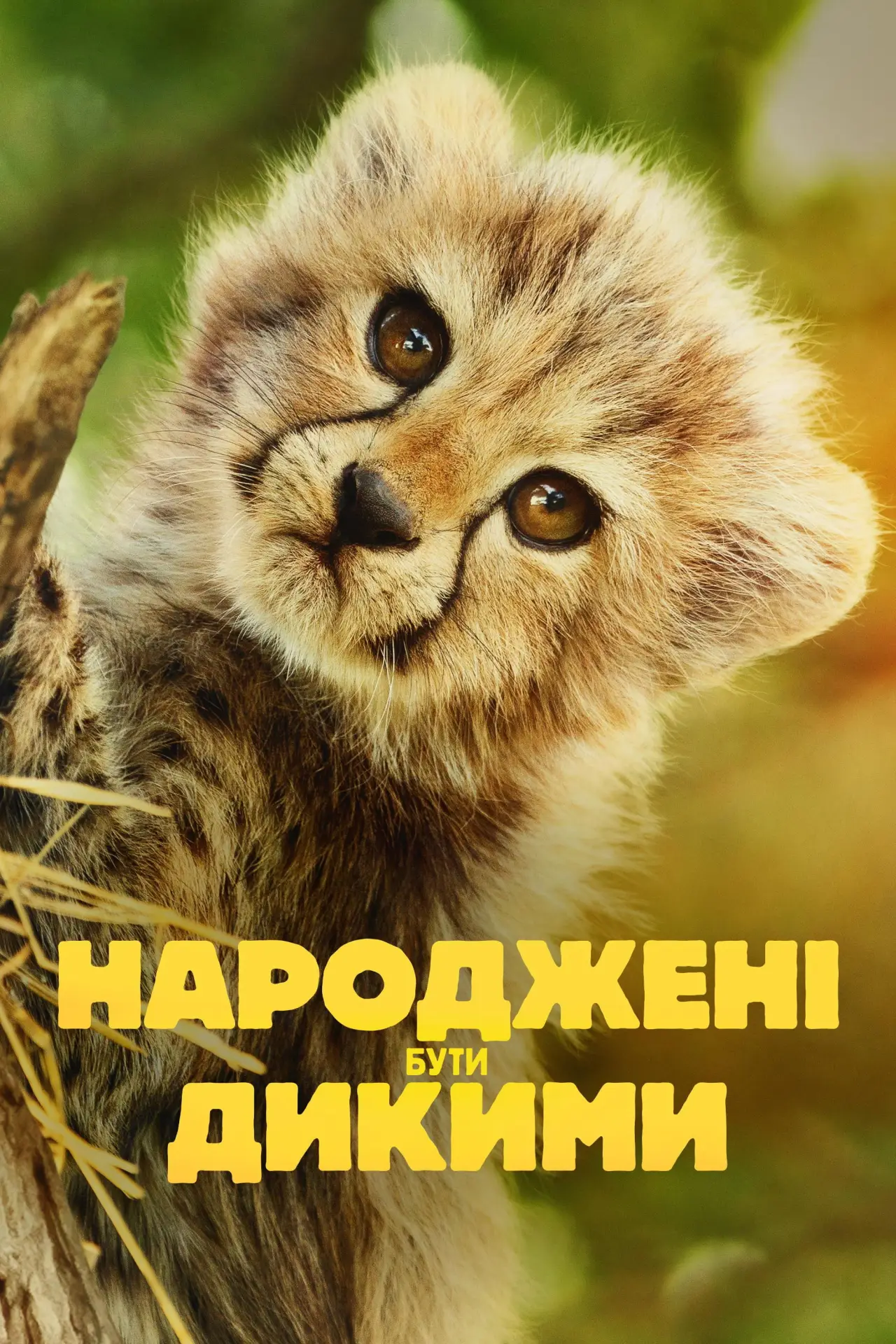 Постер до серіалу "Народжені бути дикими"
