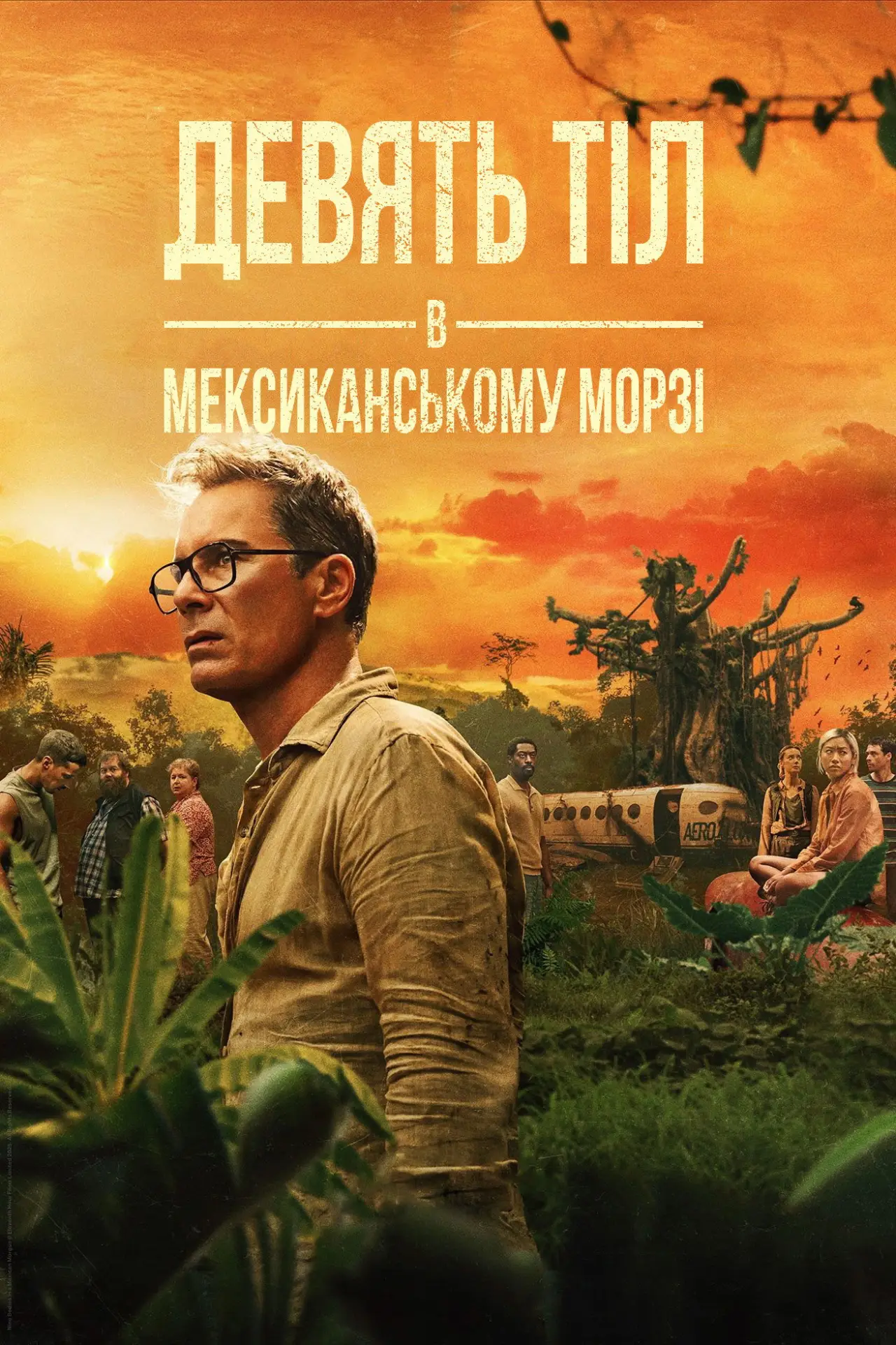Постер до серіалу "Дев