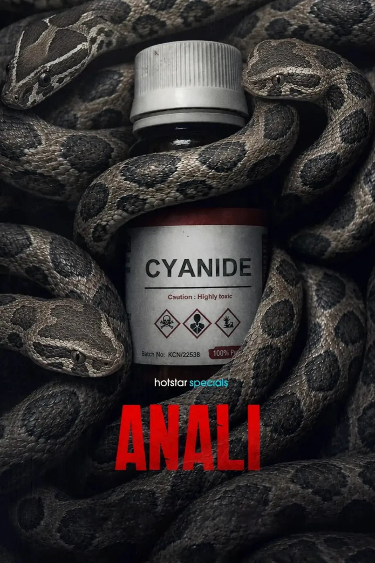 Постер до серіалу "Anali"