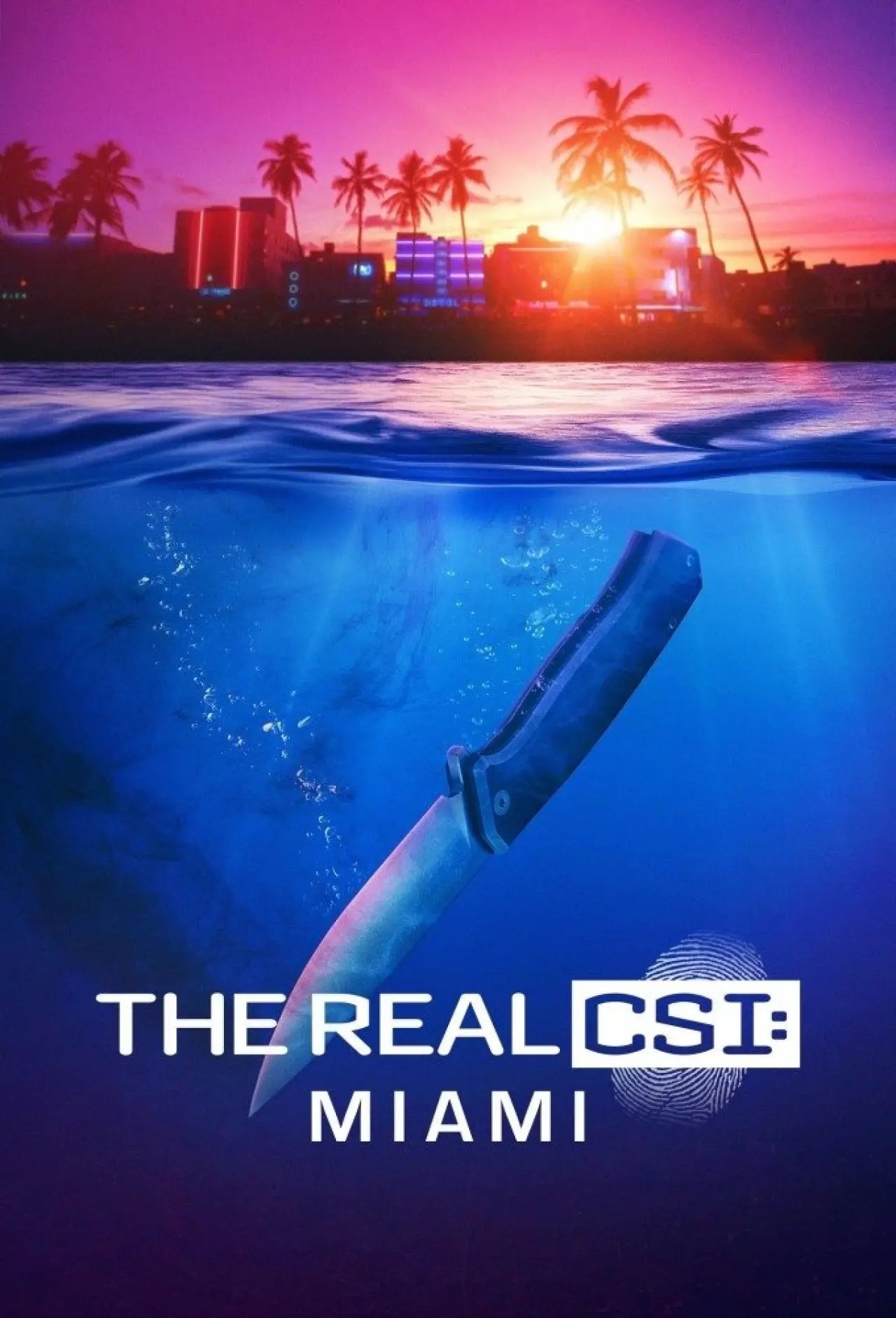 Постер до серіалу "The Real CSI: Miami"