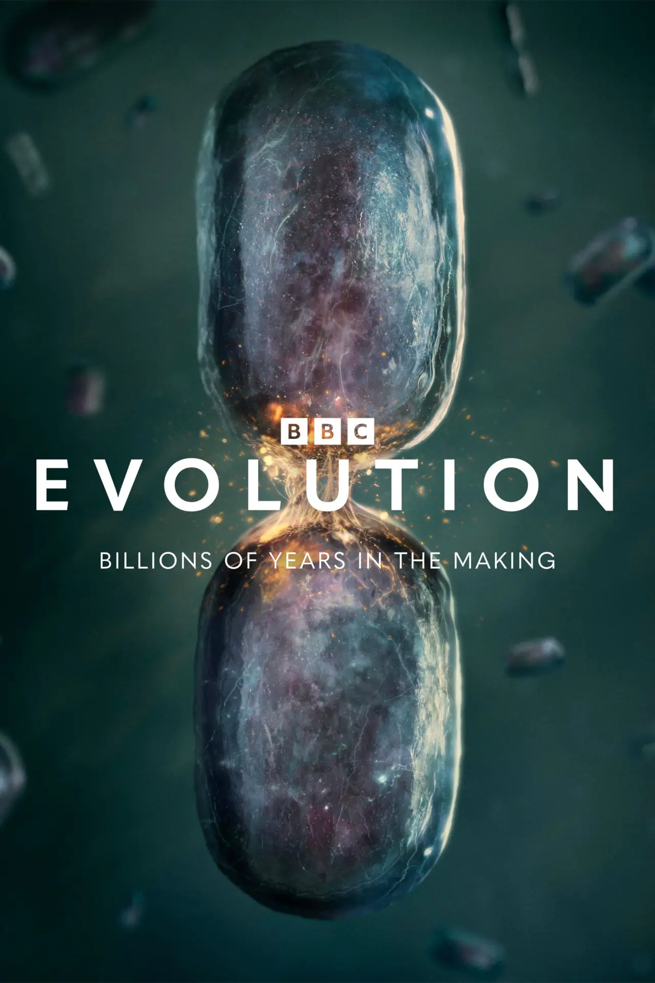 Постер до серіалу "Evolution"