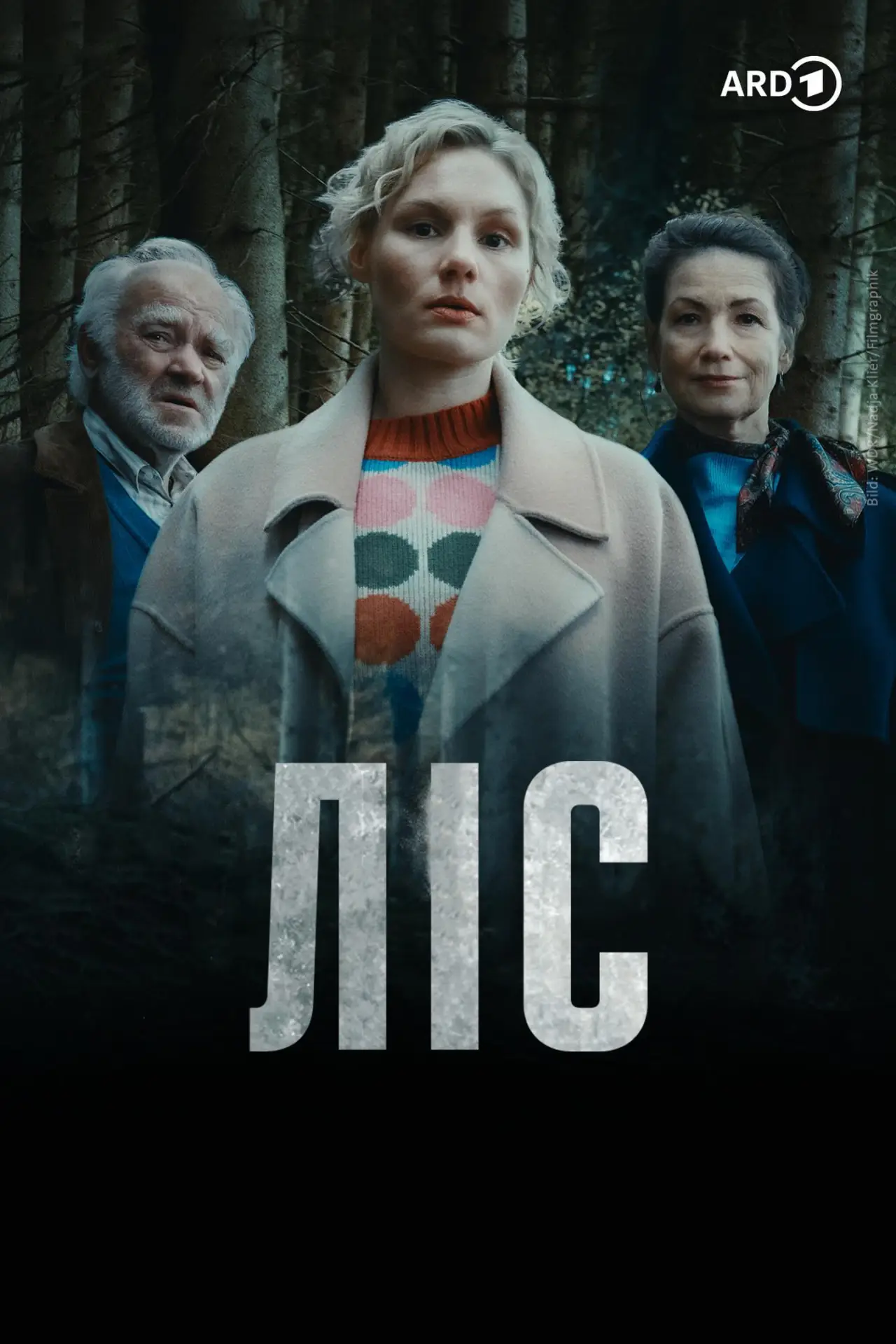 Постер до серіалу "Wäldern"