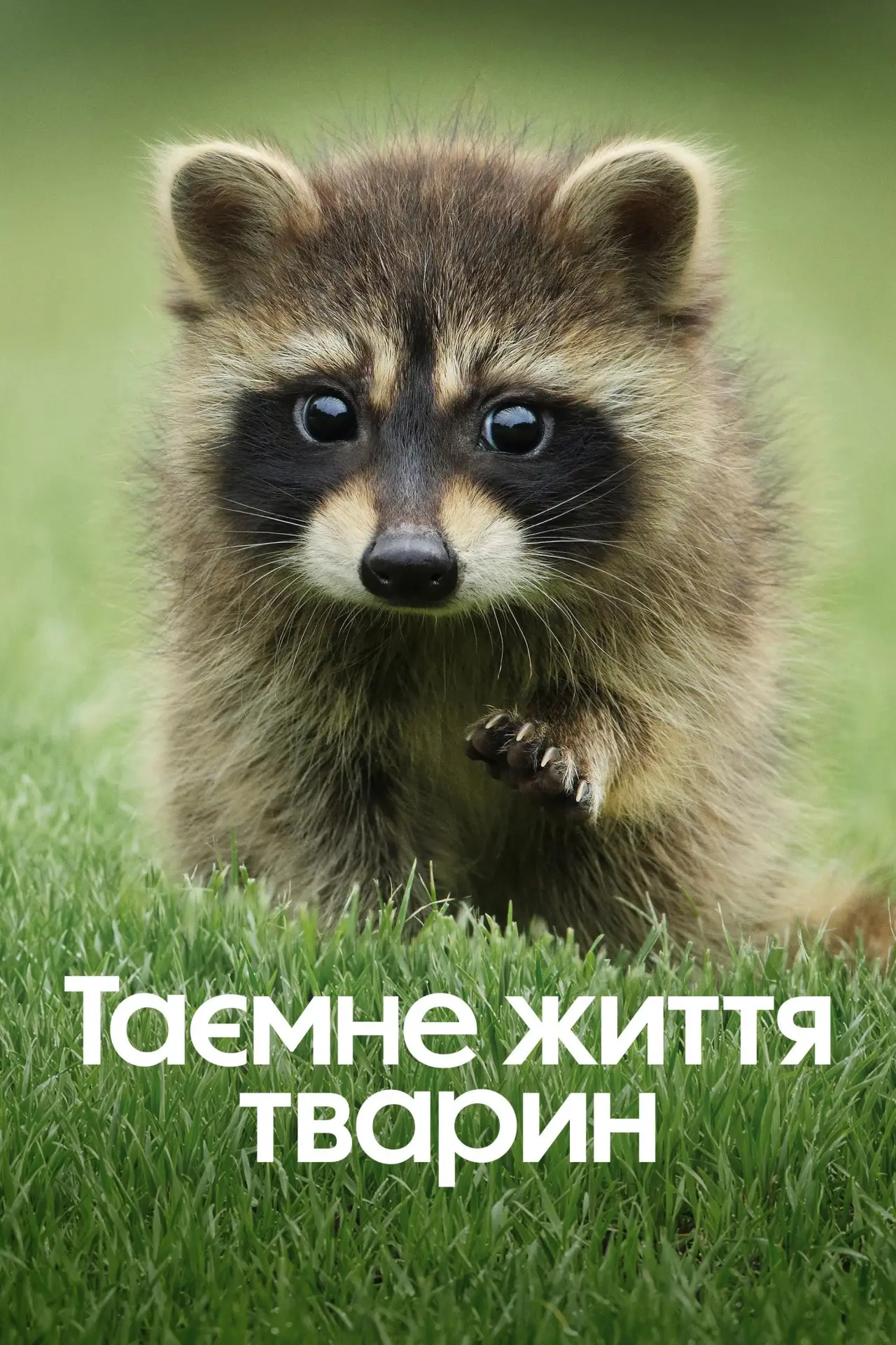 Постер до серіалу "Таємне життя тварин"
