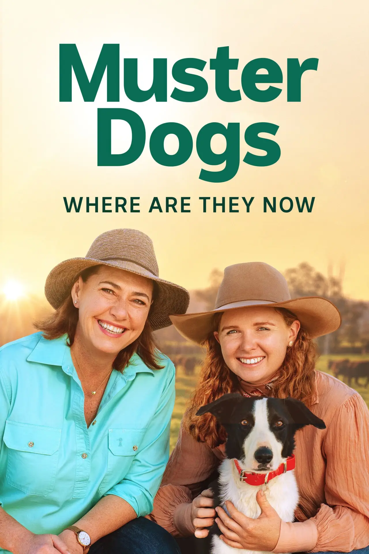 Постер к сериалу "Muster Dogs: Where Are They Now"