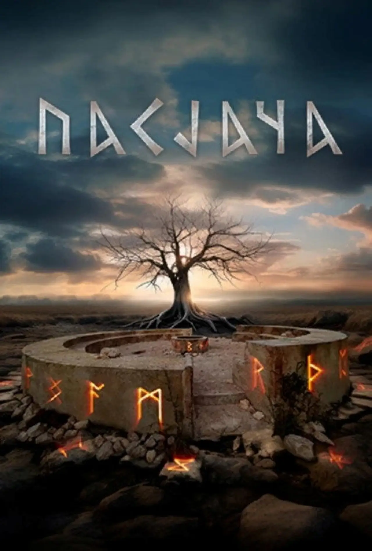 Постер до серіалу "Пасьяча"