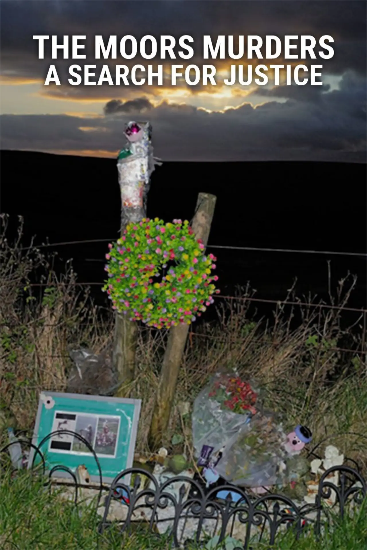 Постер до серіалу "Вбивства на вересовищах: у пошуках справедливості"