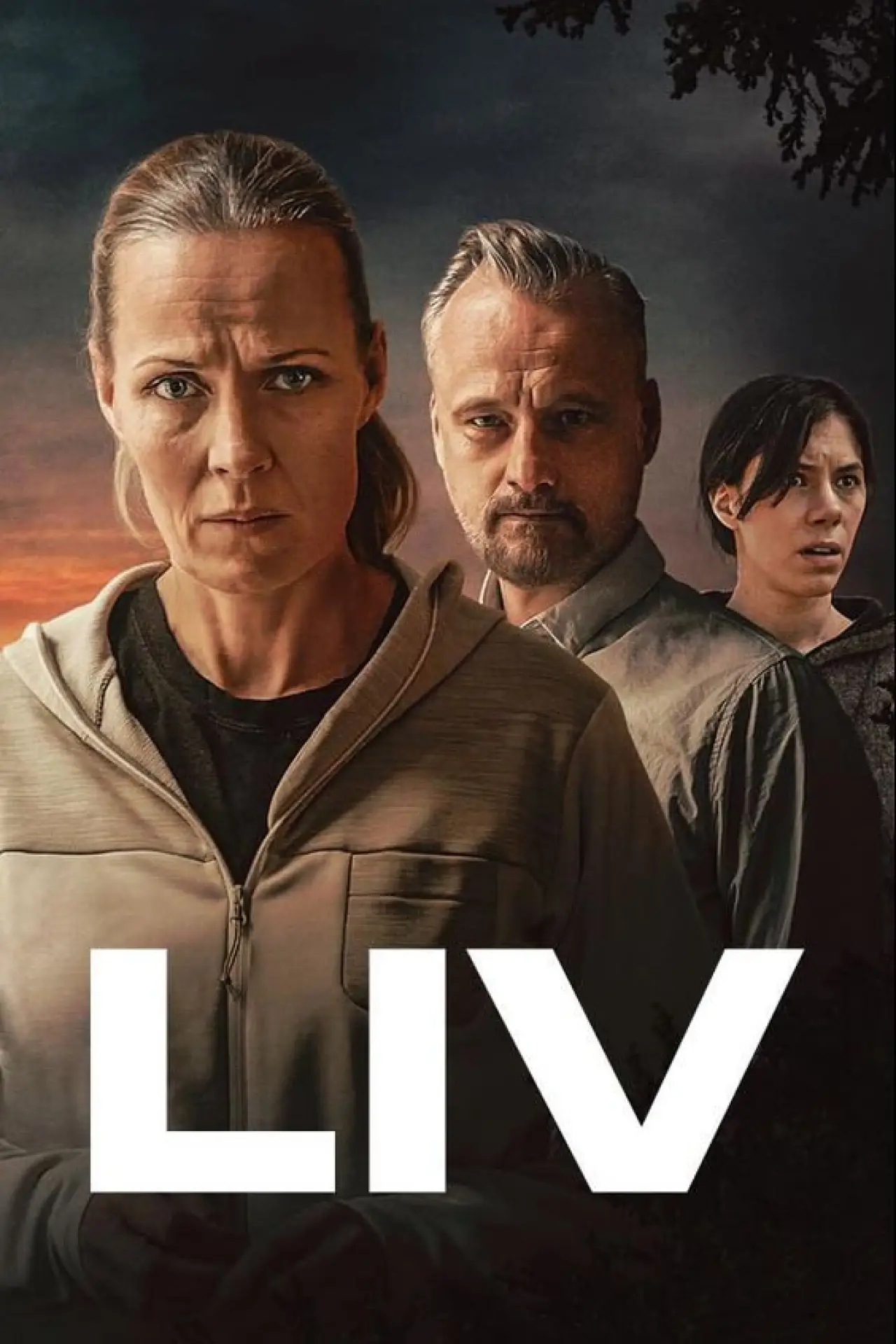 Постер до серіалу "Liv"