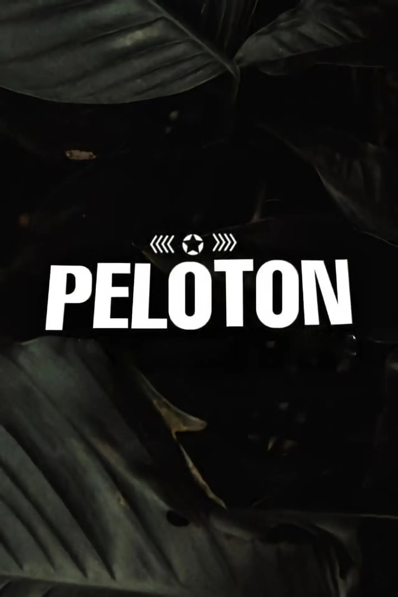 Постер до серіалу "Pelotón"