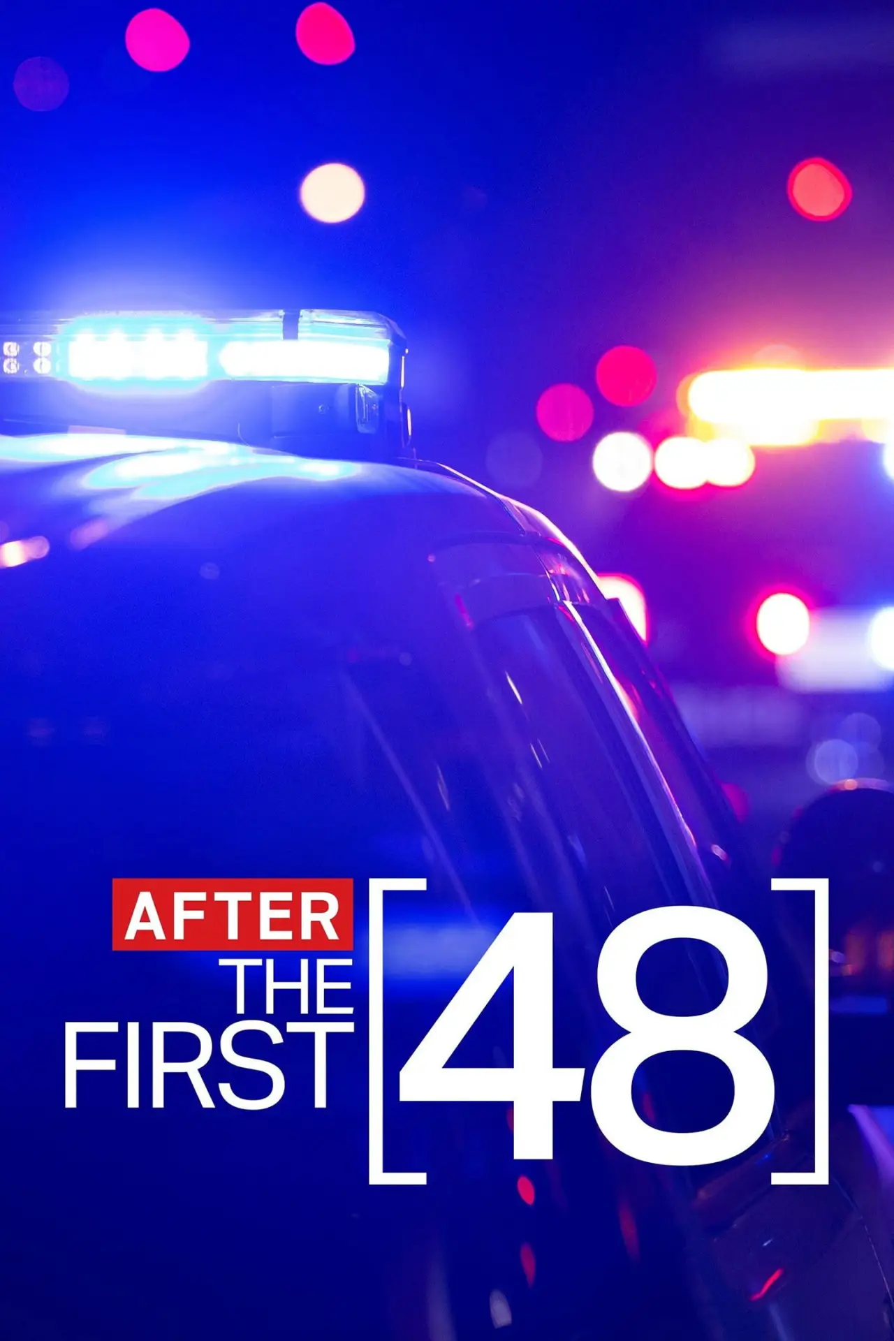 Постер до серіалу "After the First 48"