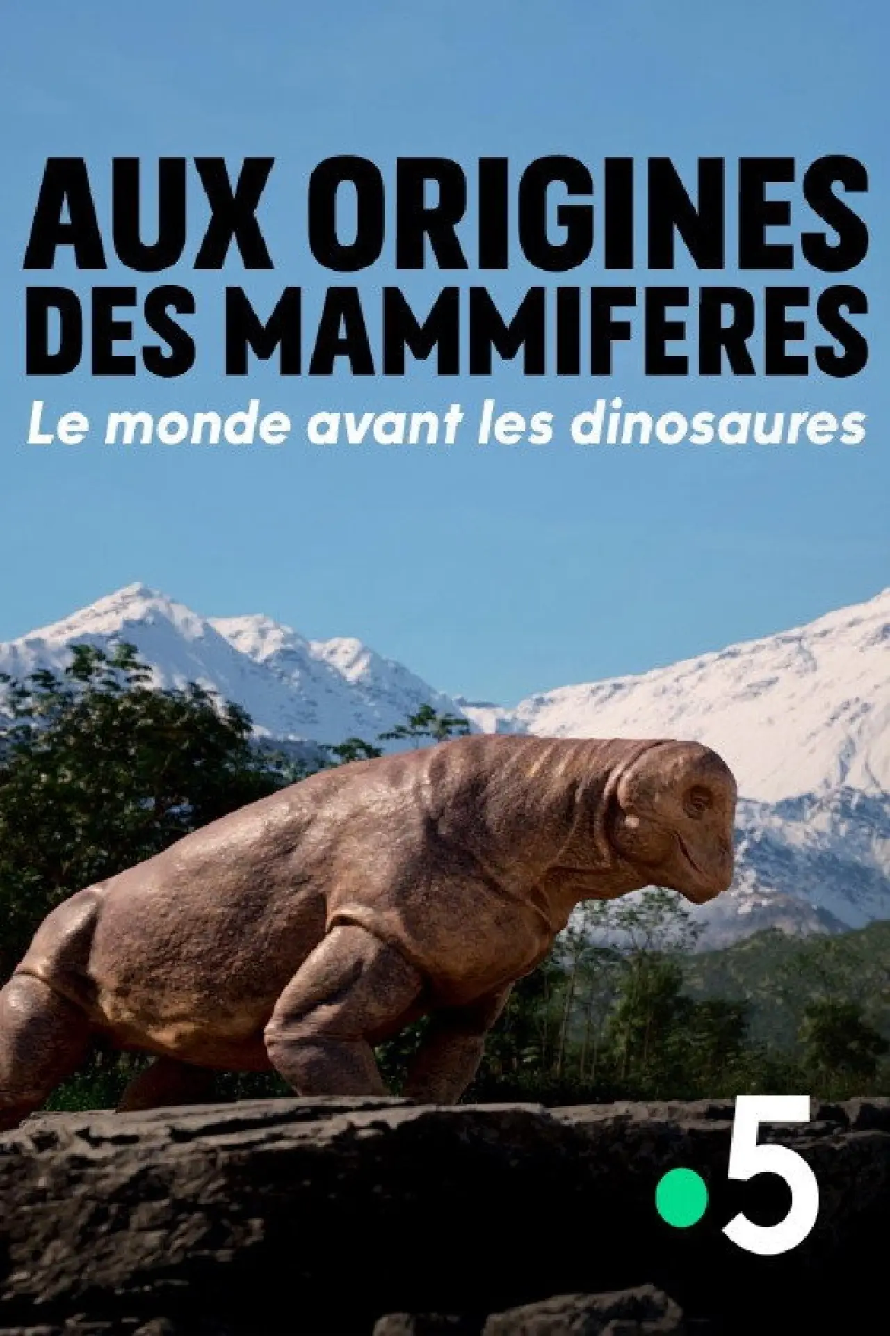 Постер до серіалу "Aux Origines des mammifères : le monde avant les dinosaures"