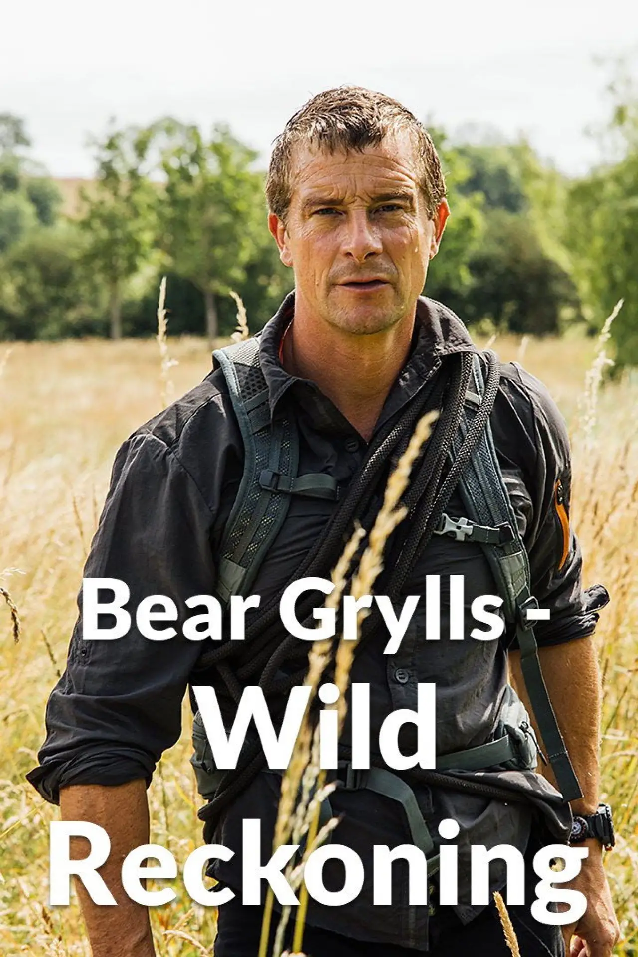 Постер до серіалу "Bear Grylls - Wild Reckoning"