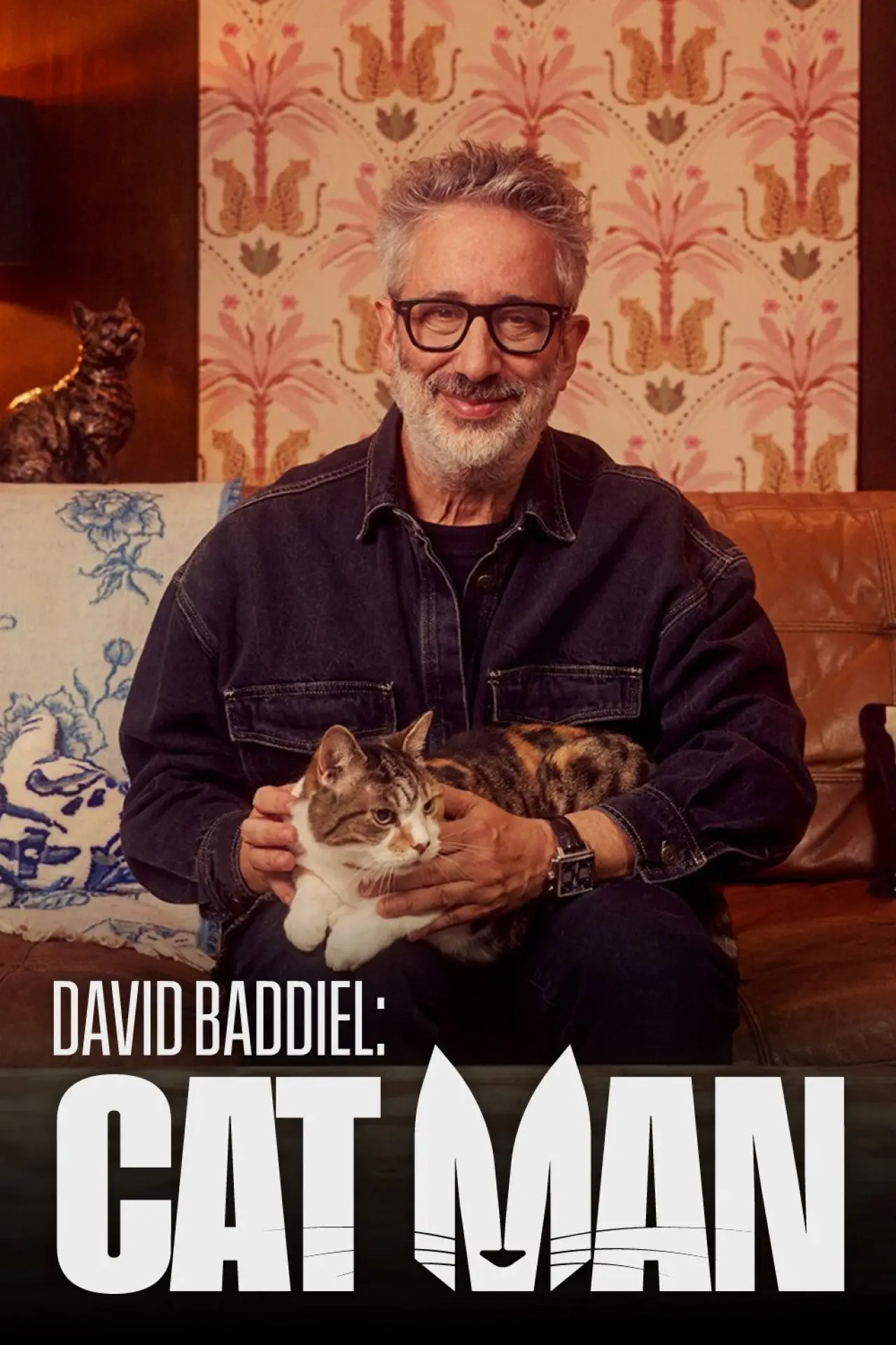 Постер до серіалу "David Baddiel: Cat Man"